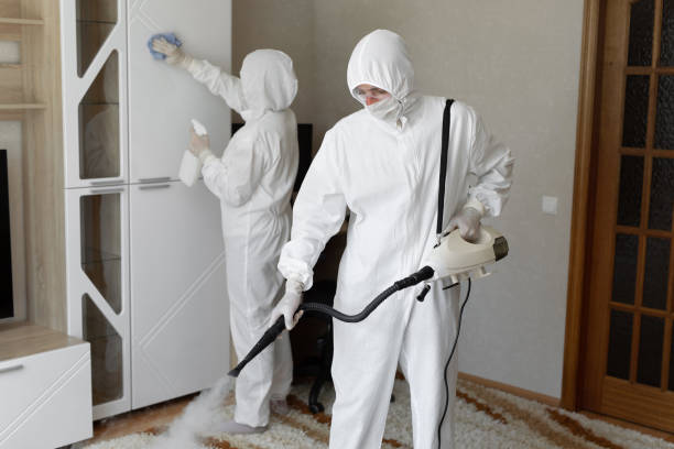 Best Toxic Mold Removal  in Arden Hills, MN